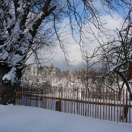 Klokočí Sněžné